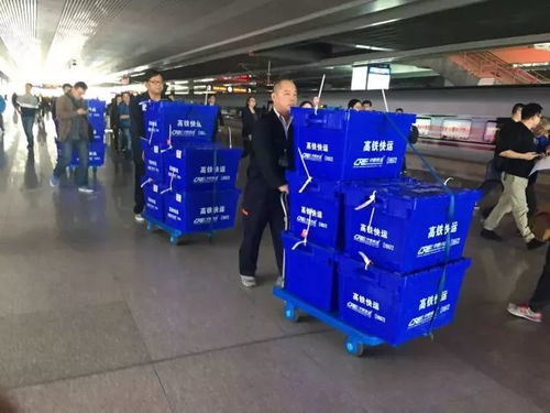 中國(guó)鐵路五年藍(lán)圖 2020年高鐵里程達(dá)3萬公里，貨物運(yùn)輸代理體系同步優(yōu)化